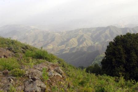 Landscape in the Simien Mountains